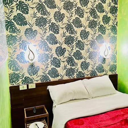 Magenta House 2* Roma