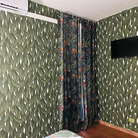 בית הארחה Magenta House