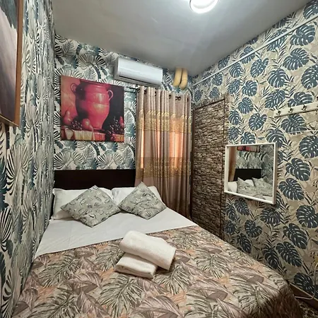 Magenta House בית הארחה 2*